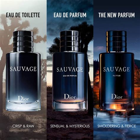 dior homme cologne vs eau sauvage|dior sauvage differences.